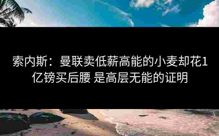 索内斯:曼联卖低薪高能的小麦却花1亿镑买后腰 是高层无能的证明 索内斯:曼联卖低薪高能的小麦却花1亿镑买后腰 是高层无能的证明